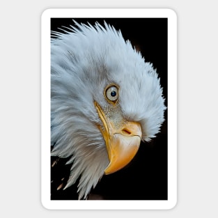 The Eye of The Eagle Sticker